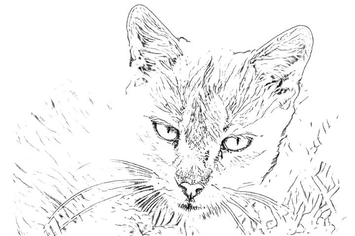 Line art drawing of a gray cat lying in the grass made from the photo