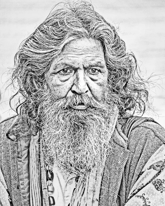 The same portrait as a detailed pencil sketch