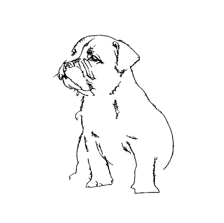 The same puppy as a black-and-white coloring page