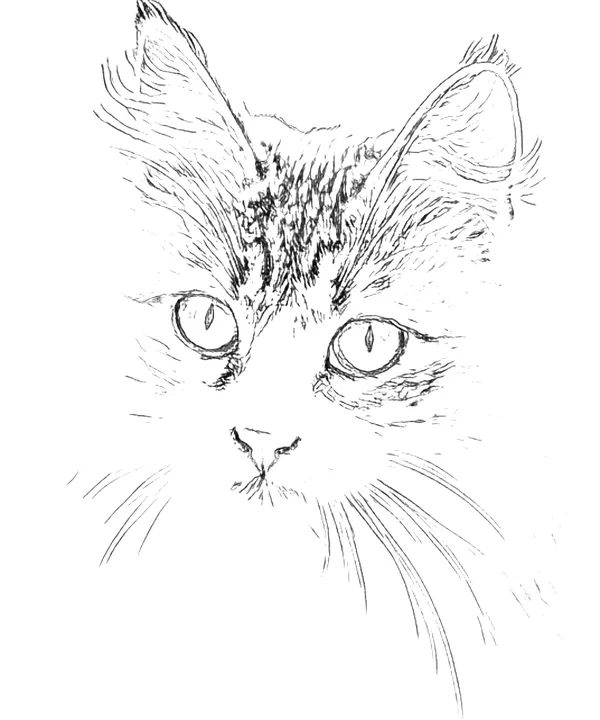Line art example of a tabby cat